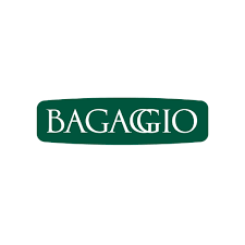 Bagaggio oferta 20 vagas de emprego; veja áreas